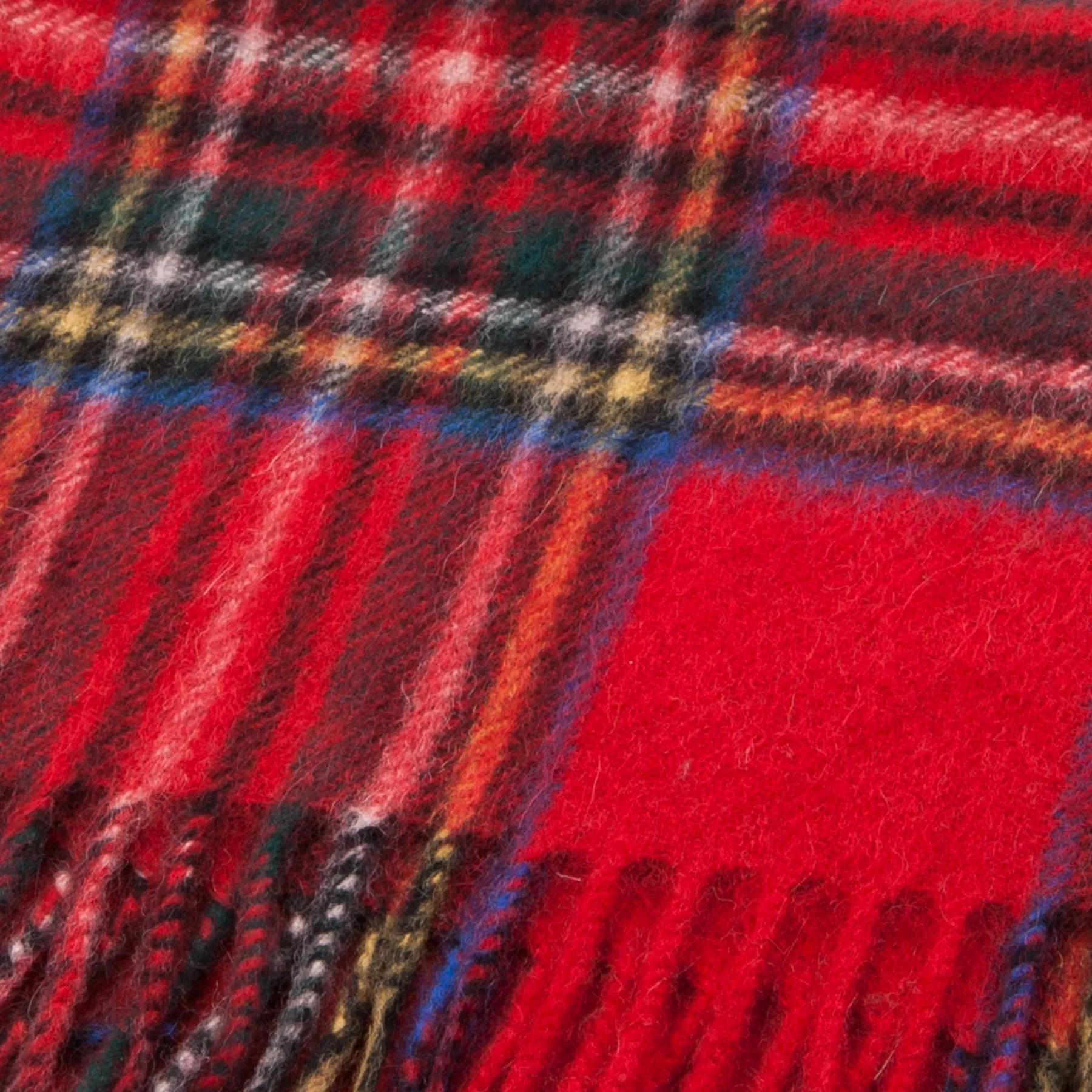 Edinburgh Cashmere Scarf  Stewart Royal